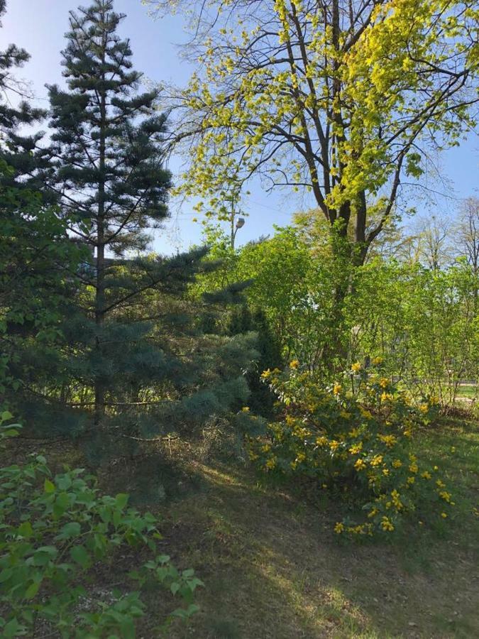 Vila Bohema Palanga - 4 Apartamentu Vila Kestucio G. 11 호텔 외부 사진